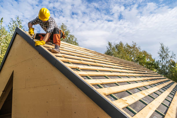 Best Local Roofing Companies  in Curwensville, PA